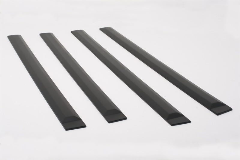 Body Side Moldings