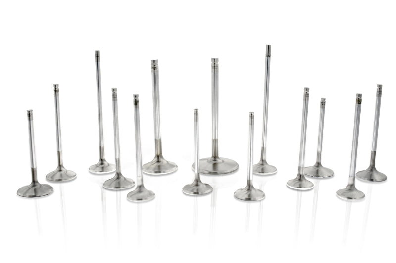 Valve Seals