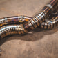 BMW F8x M3 / M4 Equal Length Valved Sport Exhaust System