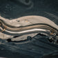 BMW X3 / X4 M40i Valved Sport Exhaust System