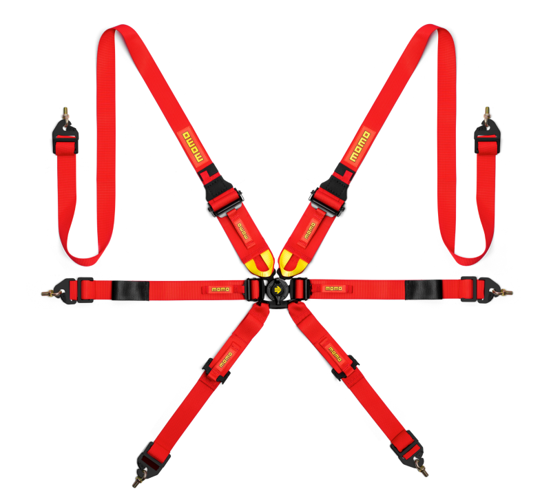 Seat Belts & Harnesses