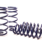 H&R 11-21 Dodge Charger SE/SXT/SXT Plus (2WD/4WD) Rallye/Plus/V6 Sport Spring