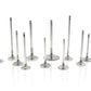 Ferrea Mitsubishi 4B11T 29mm 5.46mm 105.90mm 25 Deg Flo Stk Sgl Grv Super Alloy Exh Valve - Set of 8
