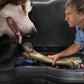 Husky Liners 07-12 Chevrolet Silverado/GMC Sierra Extended Cab Husky GearBox (68.5in.)