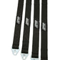 PRP 31In. Quad Wrap Limit Strap