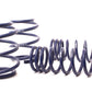 H&R 05-11 BMW M6 E64 Sport Spring